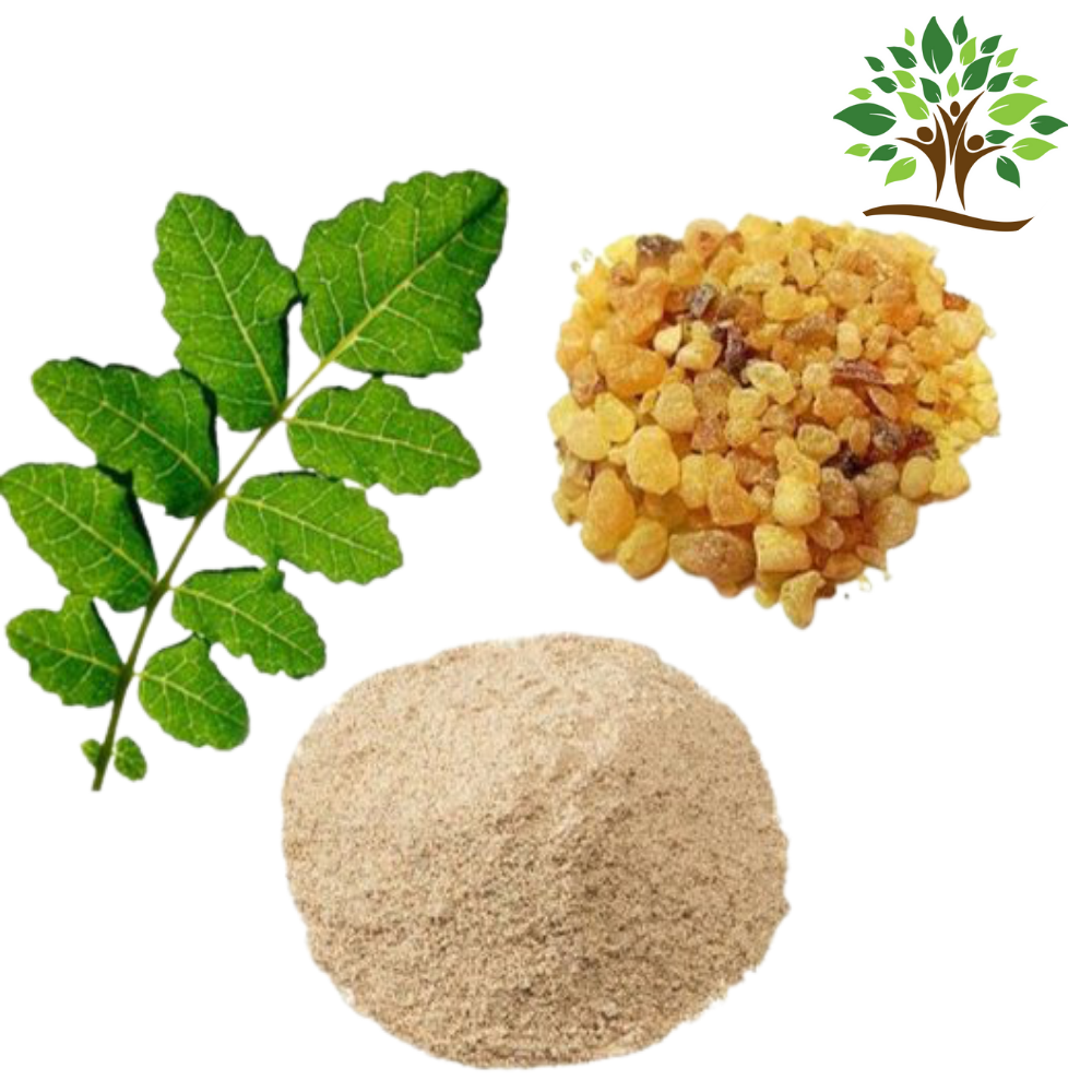 Boswellia Extract