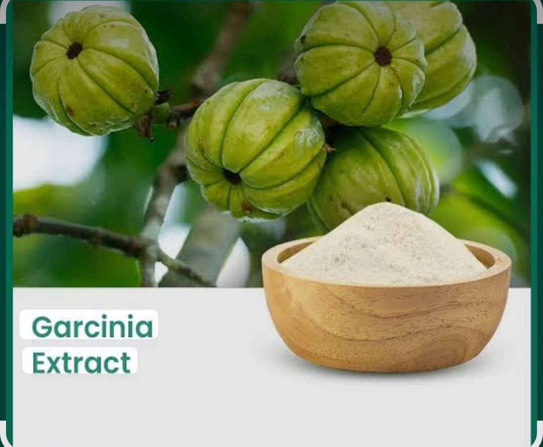 Garcinia Cambogia Calcium Salt